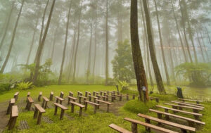 Tempat wisata Bandung Orchid Forest Cikole Lembang