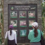 Grand Dafam Braga