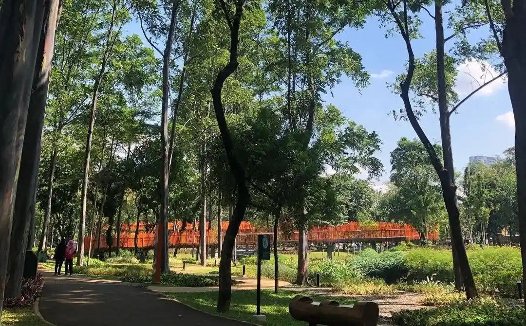Tebet Eco Park Klarifikasi Soal Pungli Fotografi, Komunitas Ditegur Pengelola