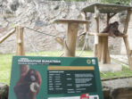 tempat wisata Kebun Binatang Bandung (Bandung Zoo)