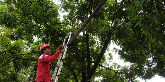 Tak Perlu Khawatir, Penertiban Kabel di Bandung Dipastikan Tidak Sebabkan Internet Mati