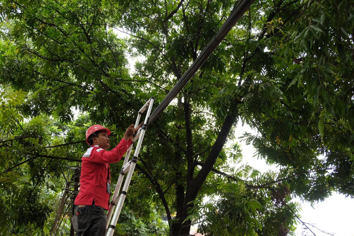 Tak Perlu Khawatir, Penertiban Kabel di Bandung Dipastikan Tidak Sebabkan Internet Mati