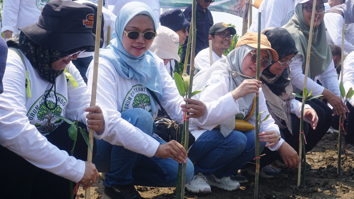 Bio Farma menanam 10.000 bibit mangrove di Karawang sebagai wujud komitmen ESG, SDGs, dan pelestarian ekosistem pesisir.