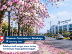 Bunga tabebuya di Bandung mulai menghiasi sejumlah ruas jalan. Simak spot yang bisa didatangi untuk menikmati suasana kota yang lebih cantik.
